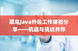 菜鸟Java外包工作体验分享——机遇与挑战并存