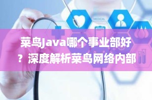 菜鸟Java哪个事业部好？深度解析菜鸟网络内部的Java机会