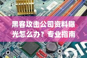 黑客攻击公司资料曝光怎么办？专业指南助您应对危机