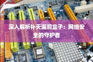 深入解析补天漏洞盒子：网络安全的守护者