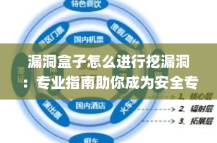 漏洞盒子怎么进行挖漏洞：专业指南助你成为安全专家