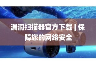 漏洞扫描器官方下载 | 保障您的网络安全