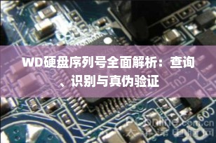 WD硬盘序列号全面解析：查询、识别与真伪验证