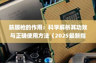 筋膜枪的作用：科学解析其功效与正确使用方法（2025最新指南）