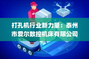 打孔机行业新力量：泰州市爱尔数控机床有限公司引领高效智造