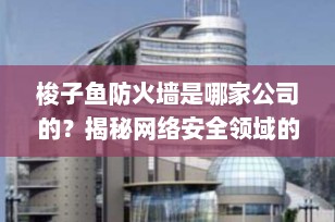 梭子鱼防火墙是哪家公司的？揭秘网络安全领域的“安全与存储”领导者