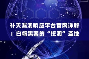 补天漏洞响应平台官网详解：白帽黑客的“挖洞”圣地，企业安全的守护者