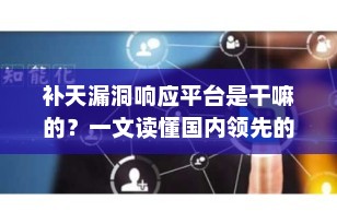 补天漏洞响应平台是干嘛的？一文读懂国内领先的网络安全“守护者”