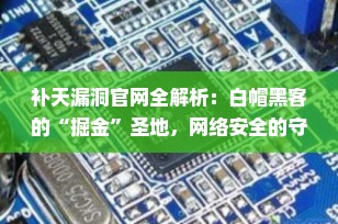 补天漏洞官网全解析：白帽黑客的“掘金”圣地，网络安全的守护者