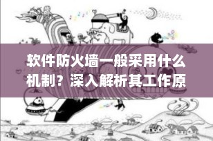 软件防火墙一般采用什么机制？深入解析其工作原理与技术特点