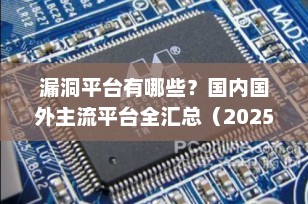 漏洞平台有哪些？国内国外主流平台全汇总（2025最新版）