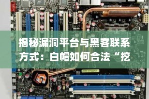 揭秘漏洞平台与黑客联系方式：白帽如何合法“挖洞”赚钱？