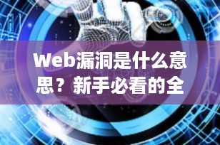 Web漏洞是什么意思？新手必看的全面解析（2025最新版）