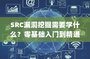 SRC漏洞挖掘需要学什么？零基础入门到精通的完整学习指南