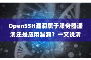 OpenSSH漏洞属于服务器漏洞还是应用漏洞？一文说清楚网络安全核心概念