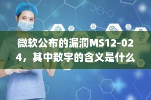 微软公布的漏洞MS12-024，其中数字的含义是什么？一文读懂微软安全公告命名规则
